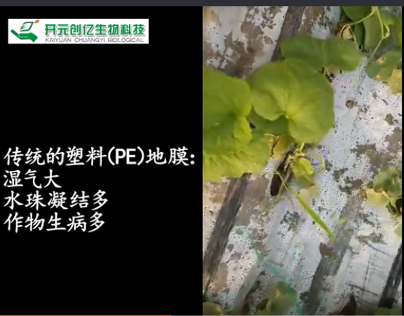 微信图片_20180420144312.png