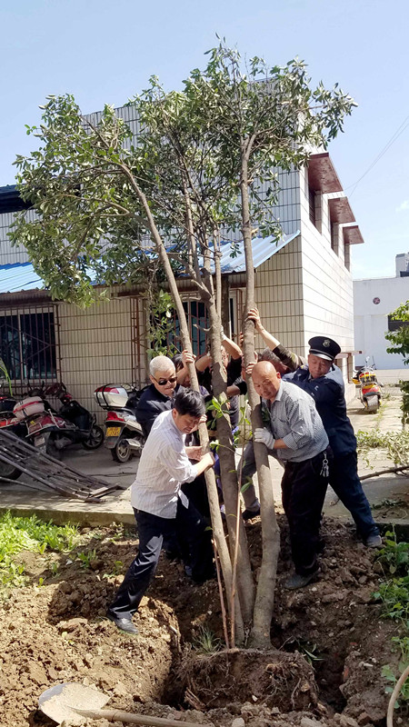 微信图片_20180425152545_副本.jpg