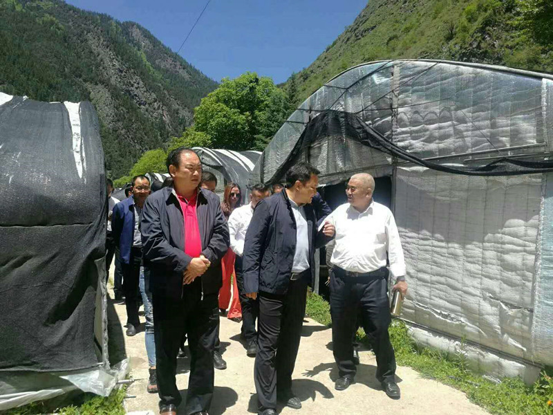 微信图片_20180606140311_副本.jpg