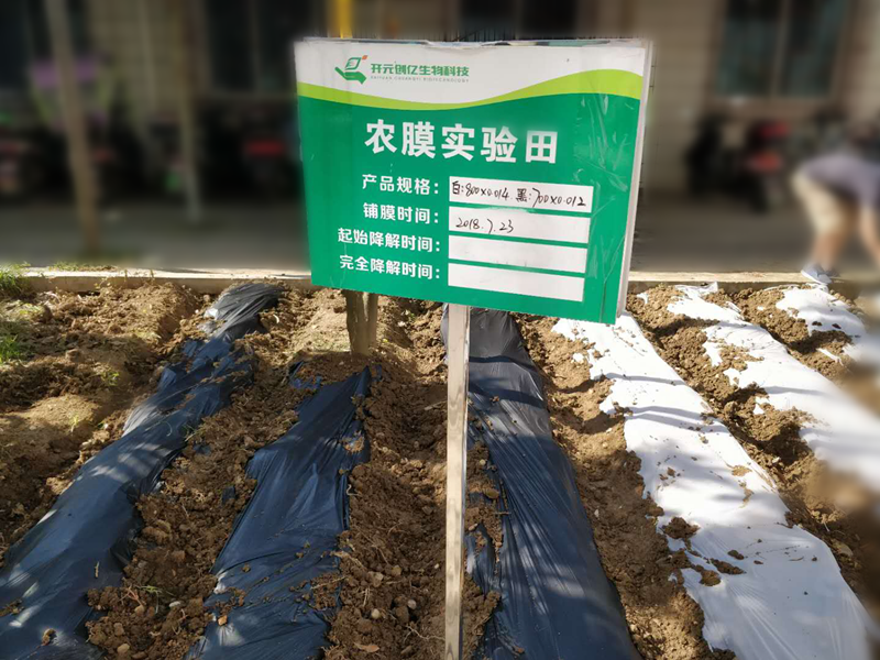 图片10_副本.png