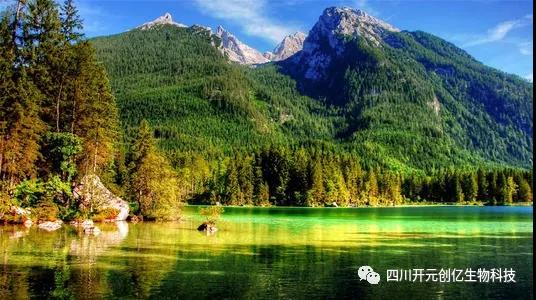 微信图片_20201124162314.jpg