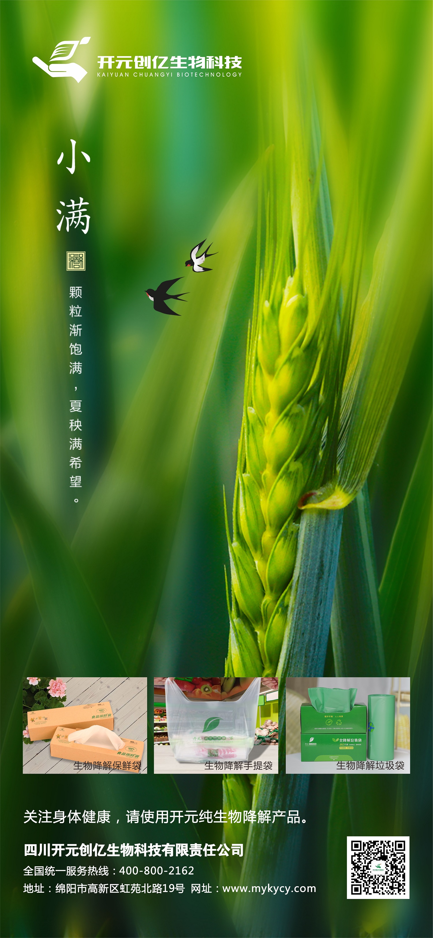 小满.jpg